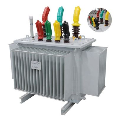 6kV 11kV Electric Oil Immersed Filled Power Distribution Transformer for Three Phase